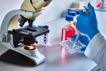 Science experiment being done with a pipet in front of a microscope in a lab